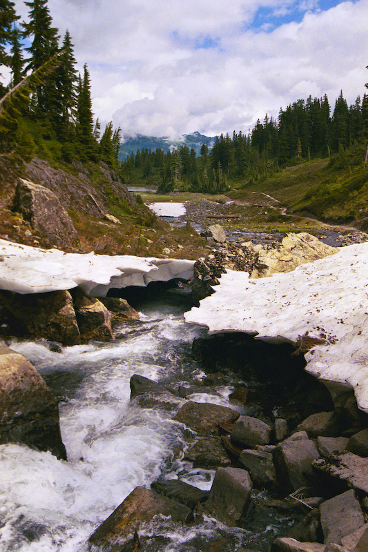 Bagley Creek